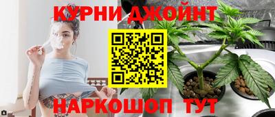 ALPHA PVP Моздок