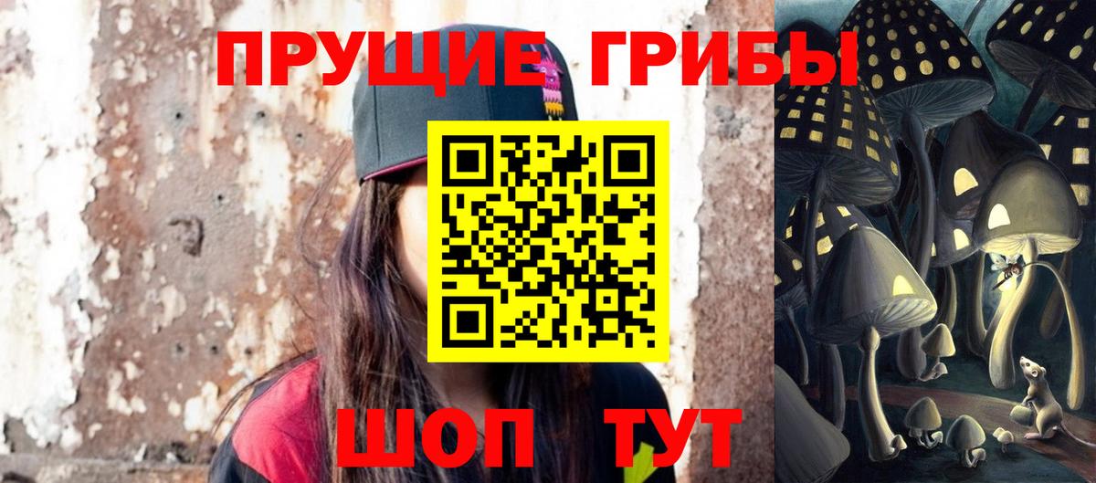 Псилоцибиновые грибы мицелий Урус-Мартан